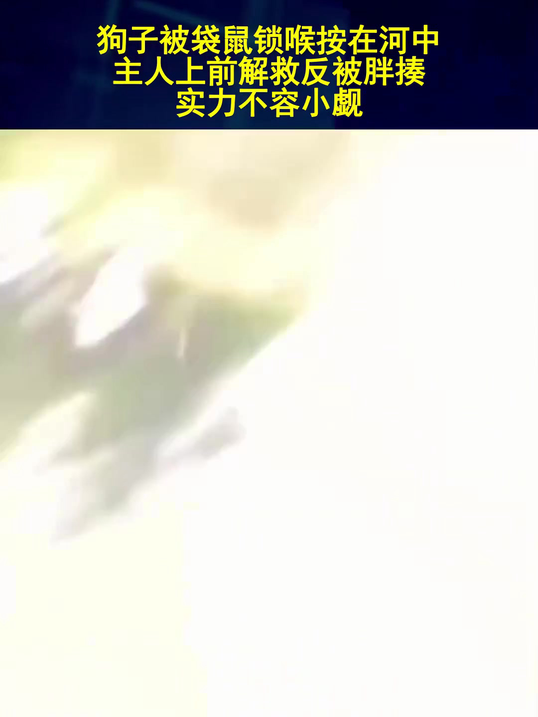 球队实力对比出赛，实力优势不容小觑